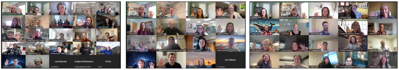 3 screenshots of video call participants each in a 5 by 5 or 4 by 4 grid. People are smiling and waving.